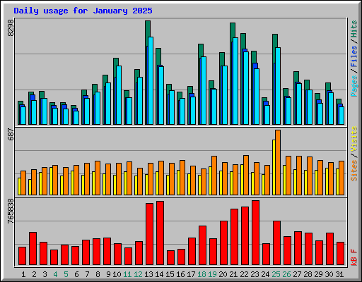 Daily usage for January 2025