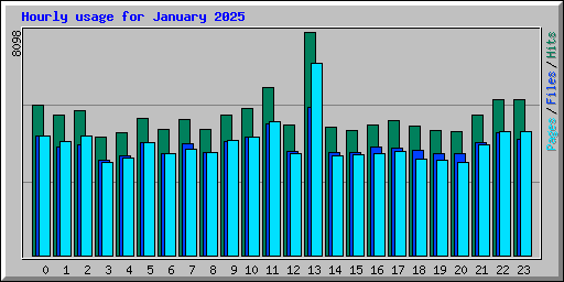 Hourly usage for January 2025