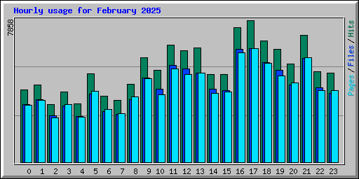 Hourly usage for February 2025