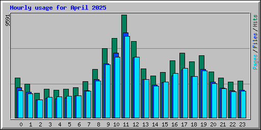 Hourly usage for April 2025