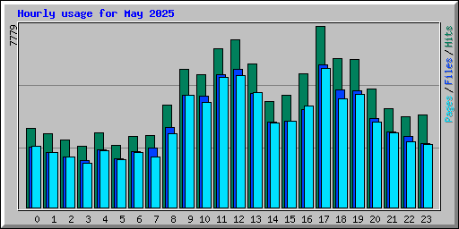 Hourly usage for May 2025