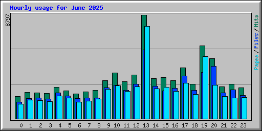 Hourly usage for June 2025
