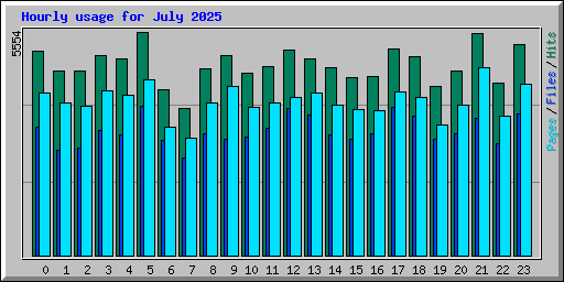 Hourly usage for July 2025