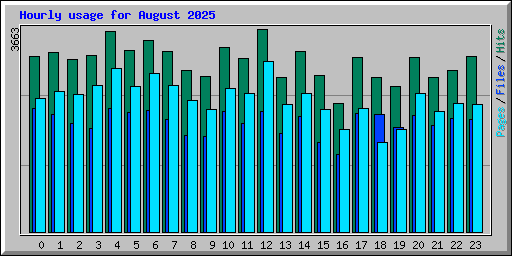 Hourly usage for August 2025