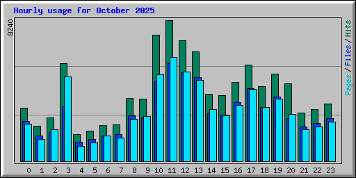 Hourly usage for October 2025