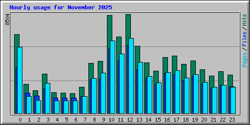 Hourly usage for November 2025