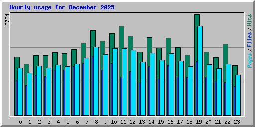 Hourly usage for December 2025